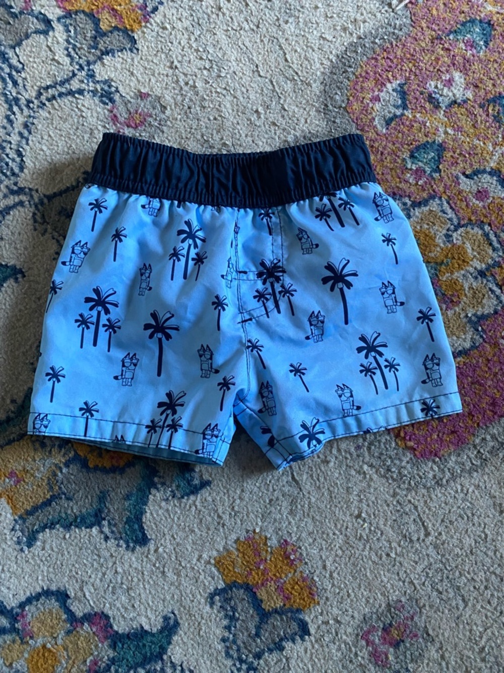 Bluey Infant 18 Months Swim Shorts-lightly Used